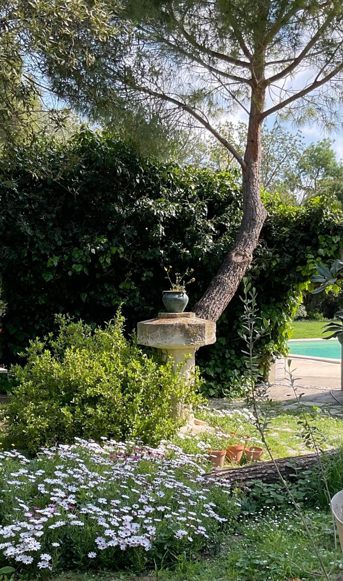 Le Jardin De Lacoste Ναρμπόν Εξωτερικό φωτογραφία